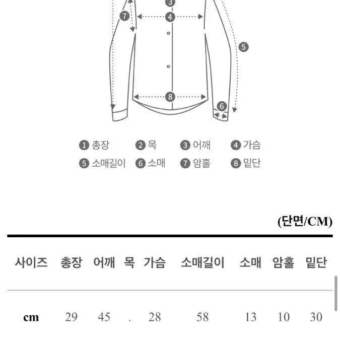 레이스 프릴 블라우스