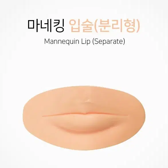 마네킹입술/분리형/마네킹입술반영구연습_입술/반영구시술연습용마네킹 입술