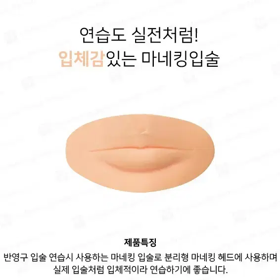 마네킹입술/분리형/마네킹입술반영구연습_입술/반영구시술연습용마네킹 입술