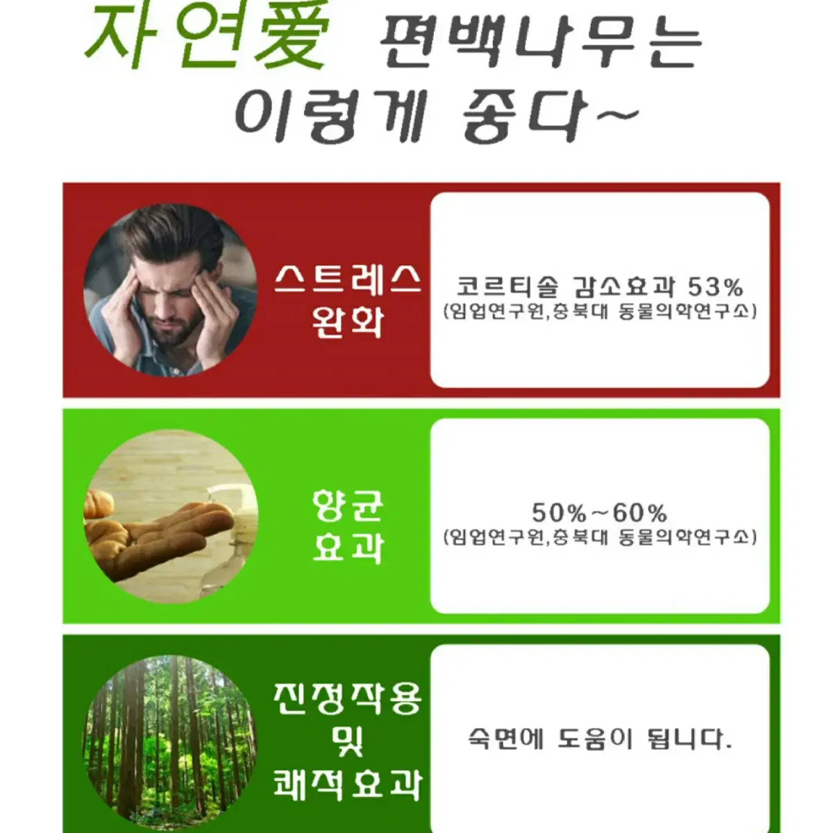 편백나무세트 (거북목교정 경침, 손지압기) 1+1 특가