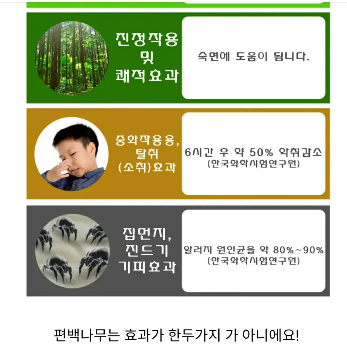 편백나무세트 (거북목교정 경침, 손지압기) 1+1 특가