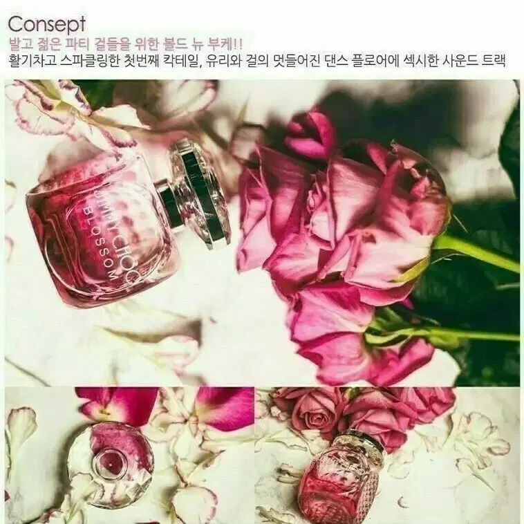 지미추 블러썸 우먼 오드퍼퓸 100ml