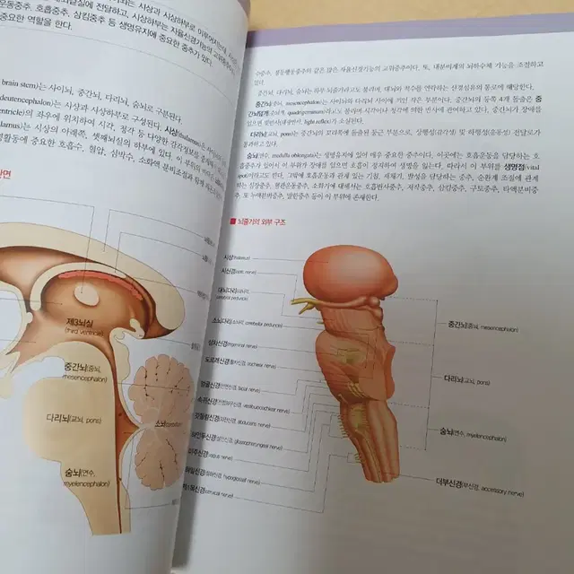 인체 생리학, 해부학 책