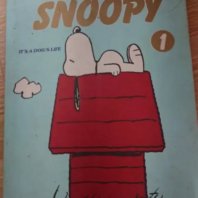 1989년 판 스누피 Snoopy