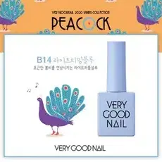 베리굿 신상컬러_8가지_2020봄컬렉션 8종 PEACOCK(4+4이벤트)