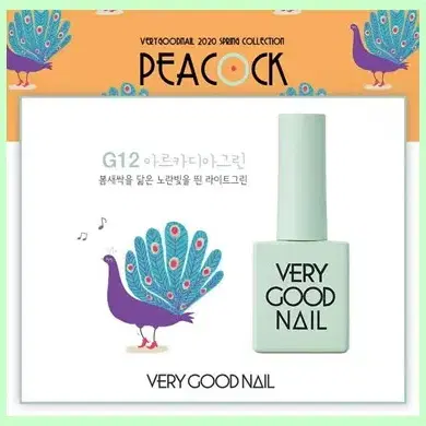 베리굿 신상컬러_8가지_2020봄컬렉션 8종 PEACOCK(4+4이벤트)