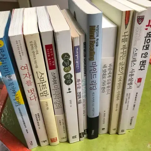 스키너의강의,쓰트레스사용설명서,스마트맘,마인드리딩,갈매기의꿈 절판도서 팜