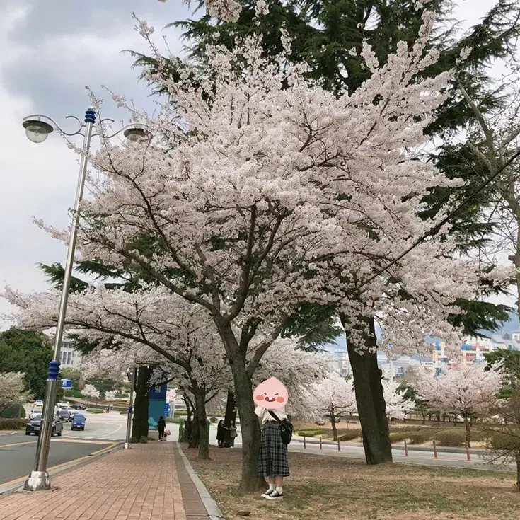 아메카지 후아유 롱체크스커트