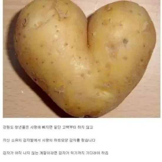 물품사기조심하세요