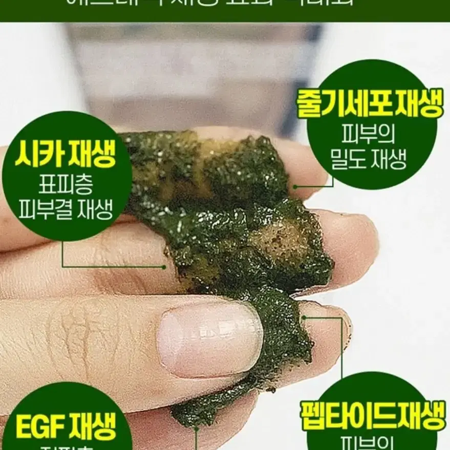 리뉴얼 메디필 환생하라!허벌필톡스환생필링 모공 각질 노페물 트러블 화장품