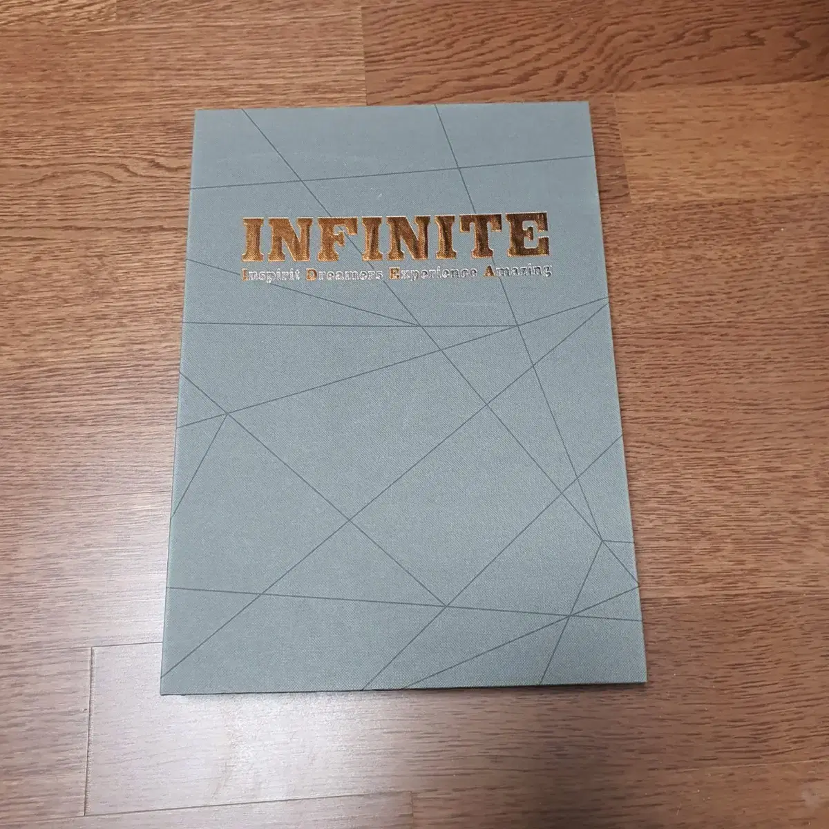 인피니트 화보집