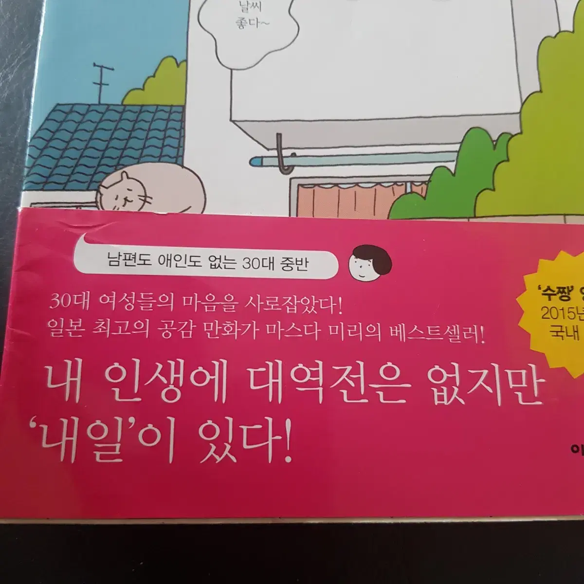 일본만화 (결혼하지 않아도 괜찮을까?)