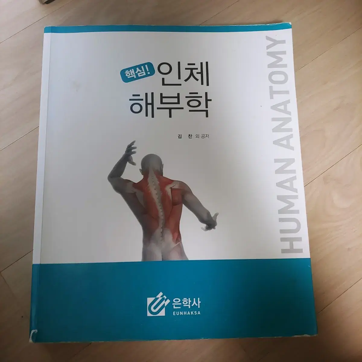 인체 해부학