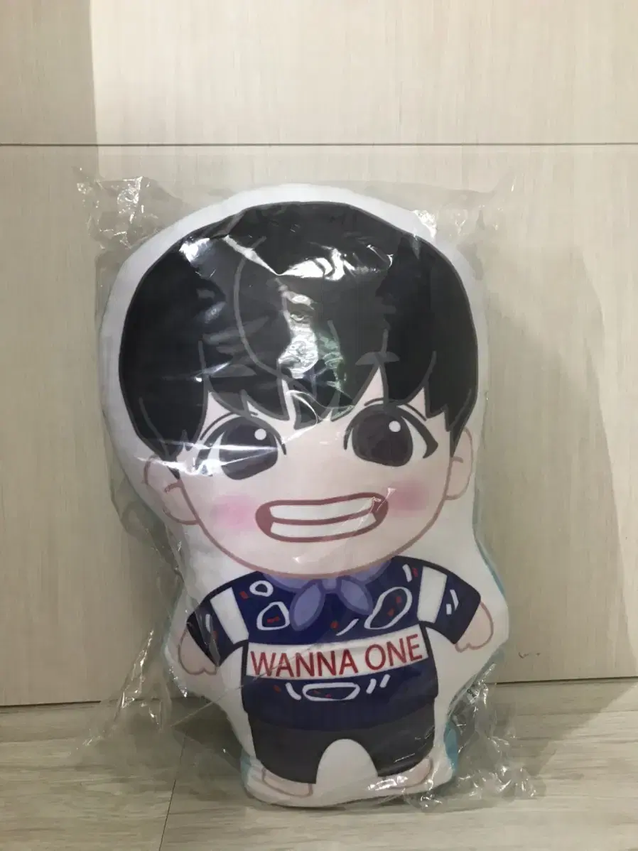 Park Jihoon doll (55cm x 37.5cm)