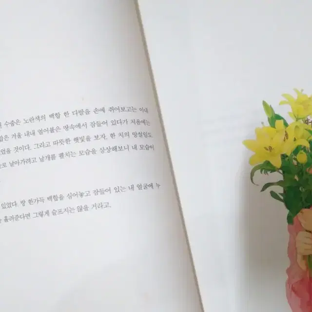 도서 네가 지금 외로운 것은 누군가를 사랑하기 때문이다