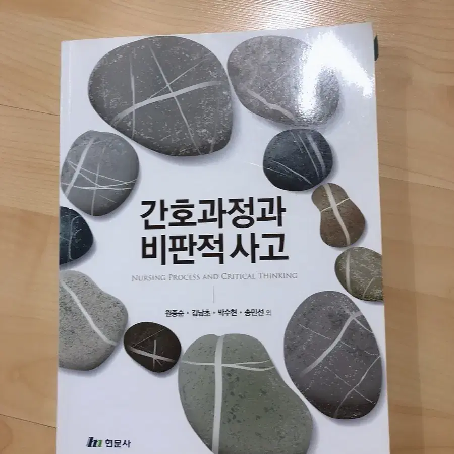 간호과정과 비판적사고 현문사