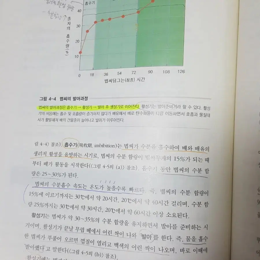 식용작물학2