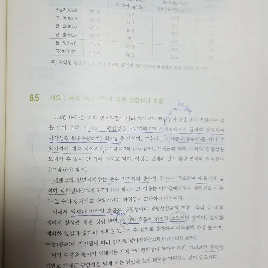 식용작물학2