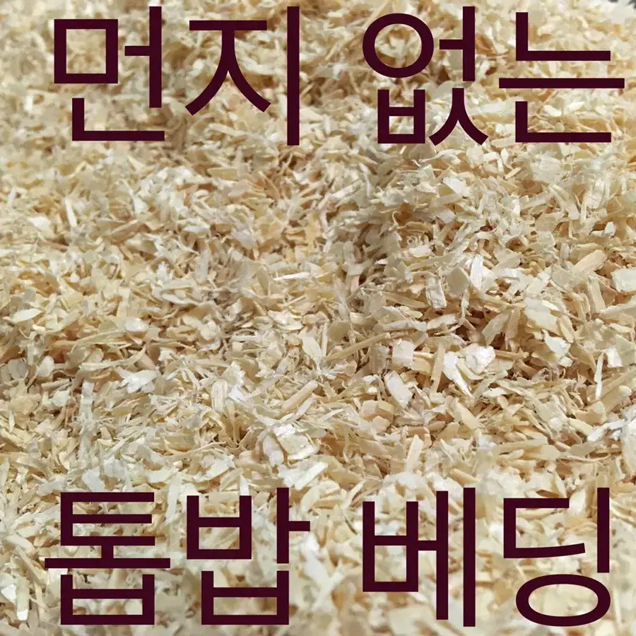 먼지없는 독일산 전나무 톱밥베딩(비압축)