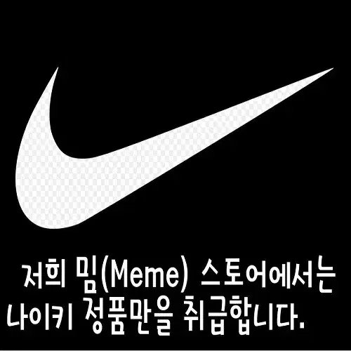 [나이키 sb 블레이져 나코탭