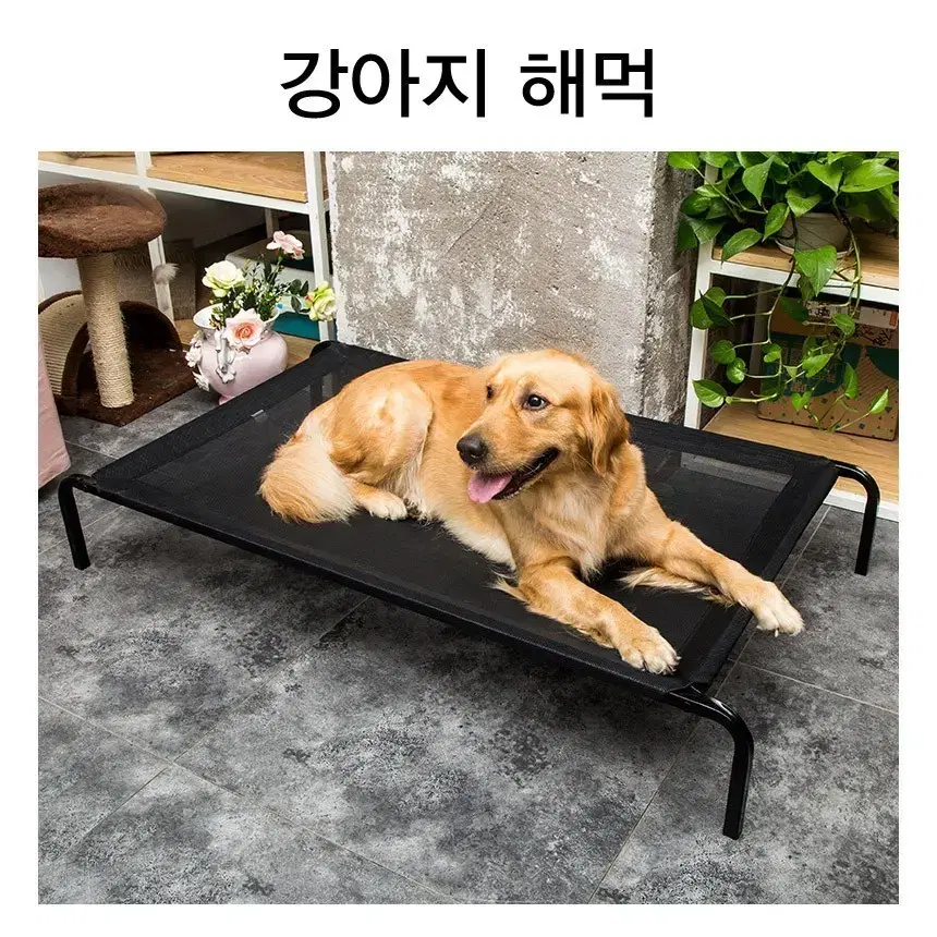 미사용 강아지해먹 애견침대 애견해먹 판매합니다.