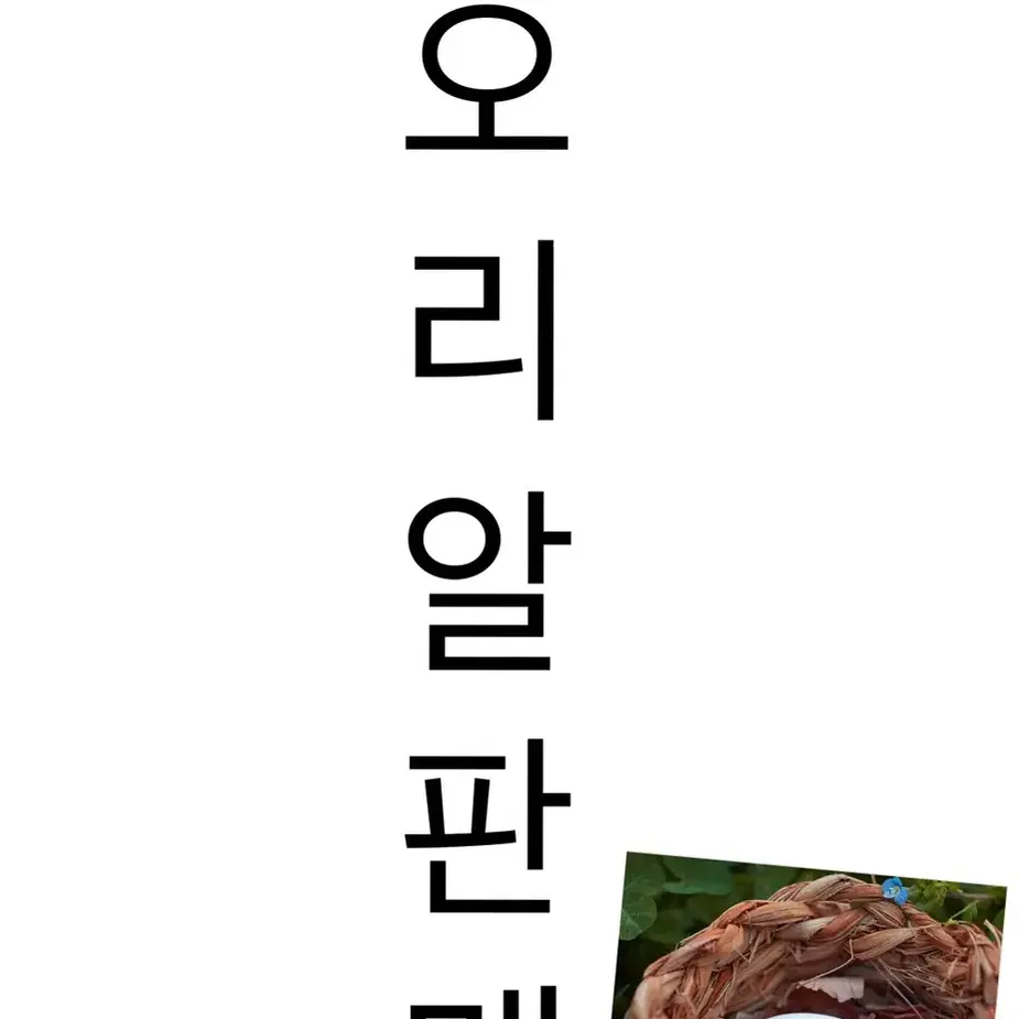 농장 유기농 오리알(30개 한판)