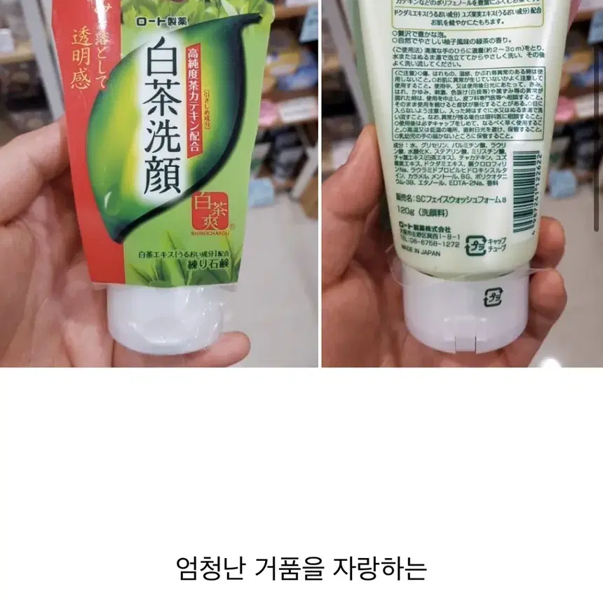 로토제약 백차반죽 비누 세안 고순도 차 카테킨 배합 폼클렌징 120g