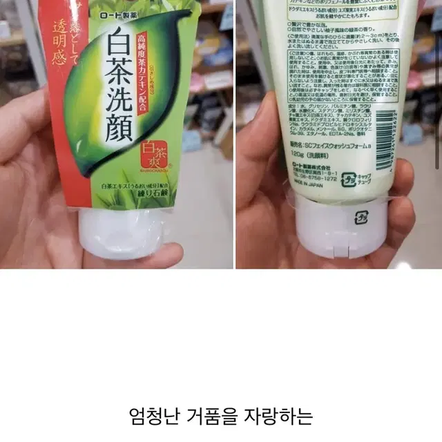 로토제약 백차반죽 비누 세안 고순도 차 카테킨 배합 폼클렌징 120g