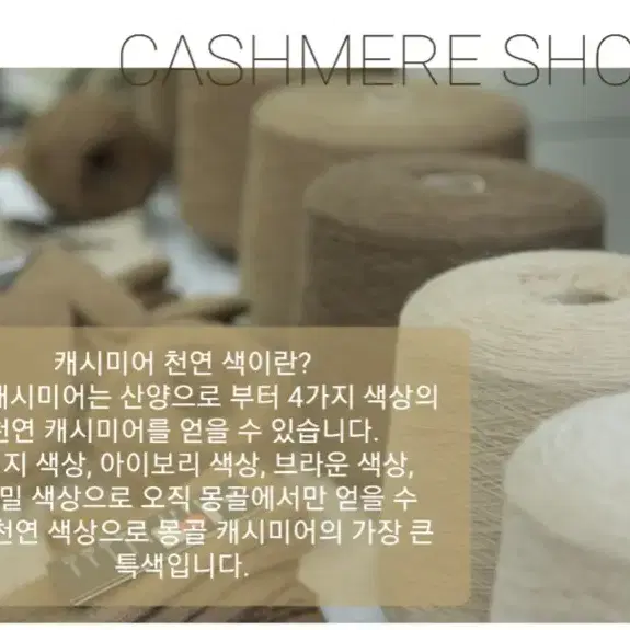 고욜 캐시미어 ( GOYOL CASHMERE )