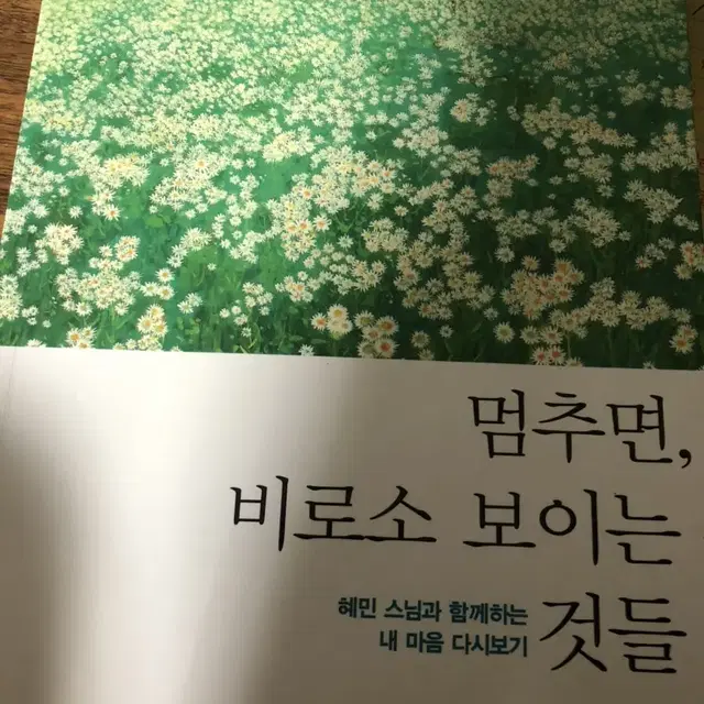 멈추면비로소보이는것들