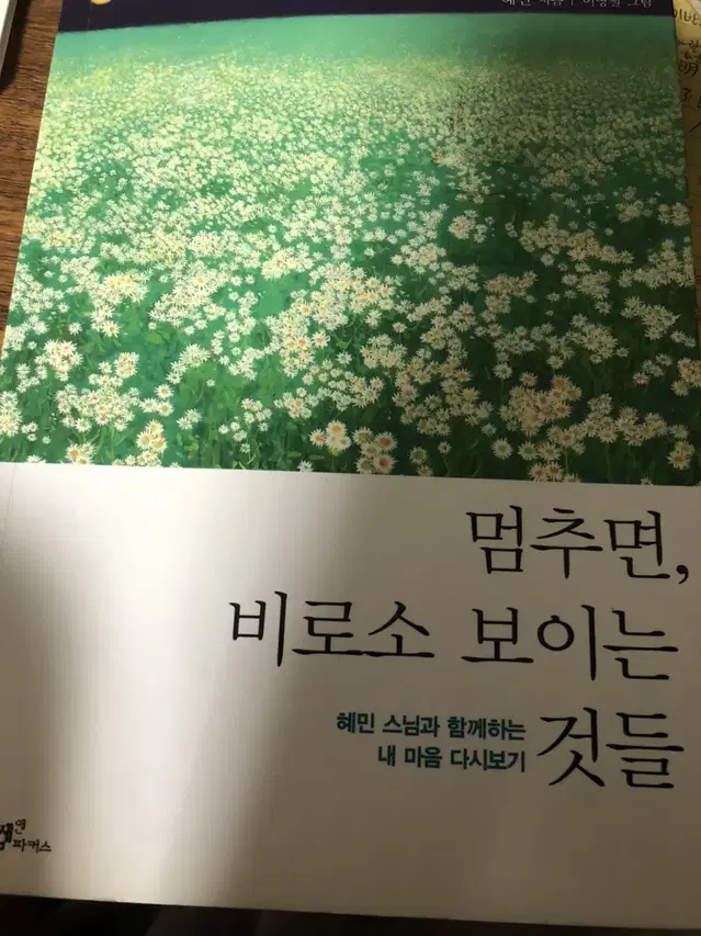 멈추면비로소보이는것들