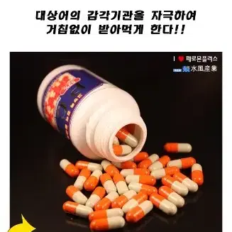 페르몬 PCB집어제 첨가제 붕어잉어 밑밥 떡밥 낚시 새상품