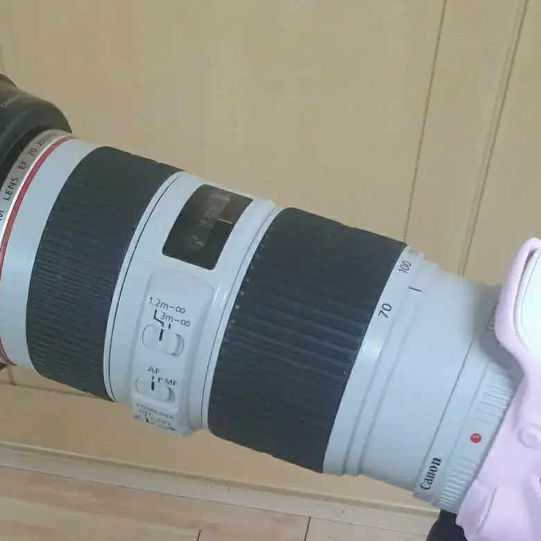 캐논 70-200mm F4 Is USM 형아백통