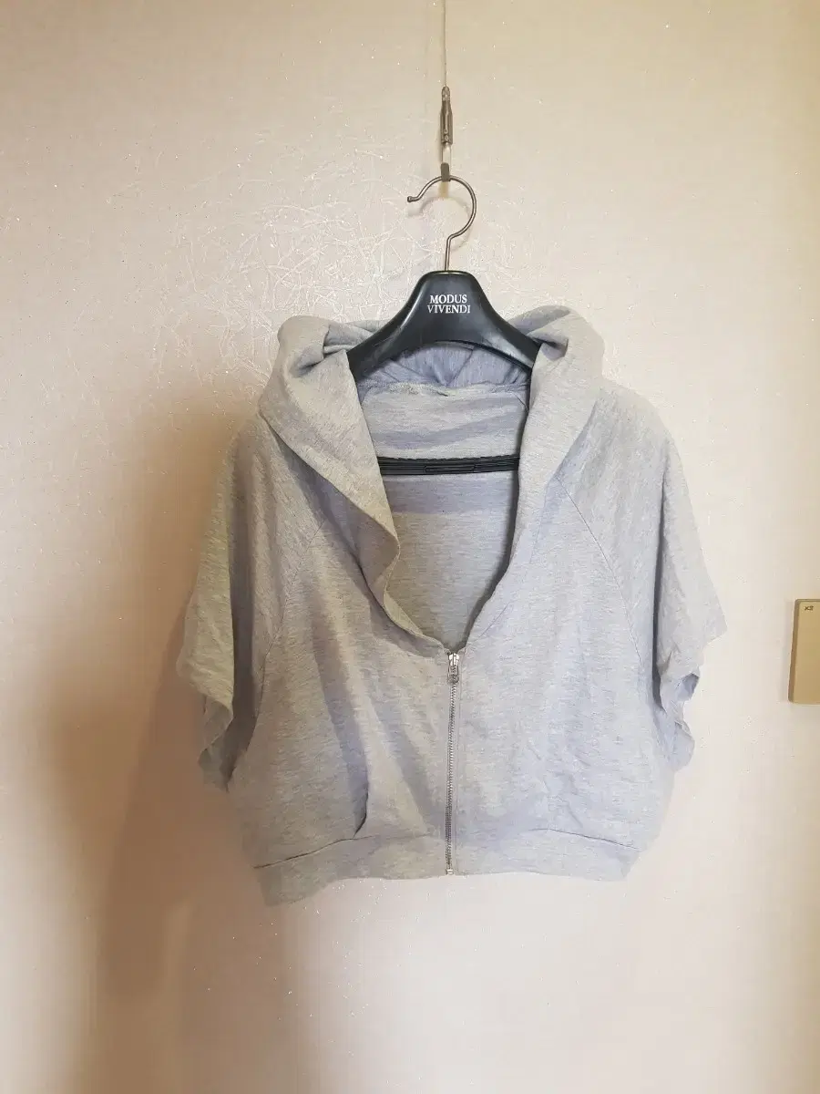 (On hold for sale) Crop Vahn Short Sleeve Hooded Zip-Up ~