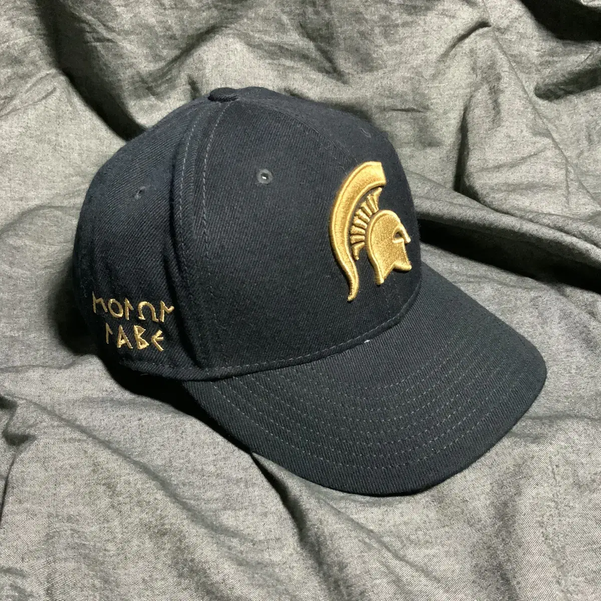 NIKE TRUE MSU logo hat Sz O/S