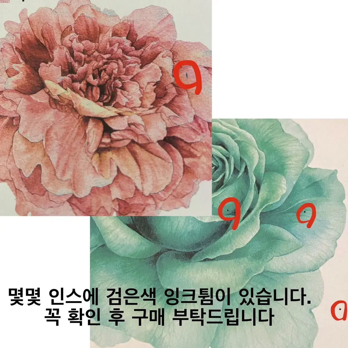 까만너구리님 한송이 왕꽃 빅플라워 인스 스티커