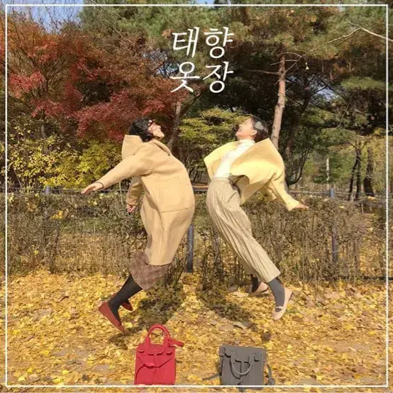 오늘만 특가! 태향옷장 크로스백