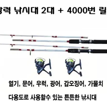 1) 초강력 루어낚시대2대+4000번릴2개+원줄