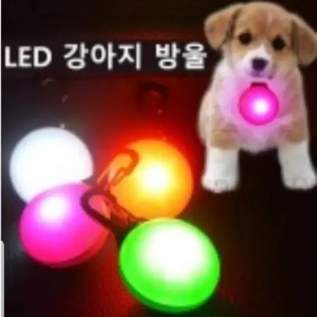 ♥애완동물 LED 방울