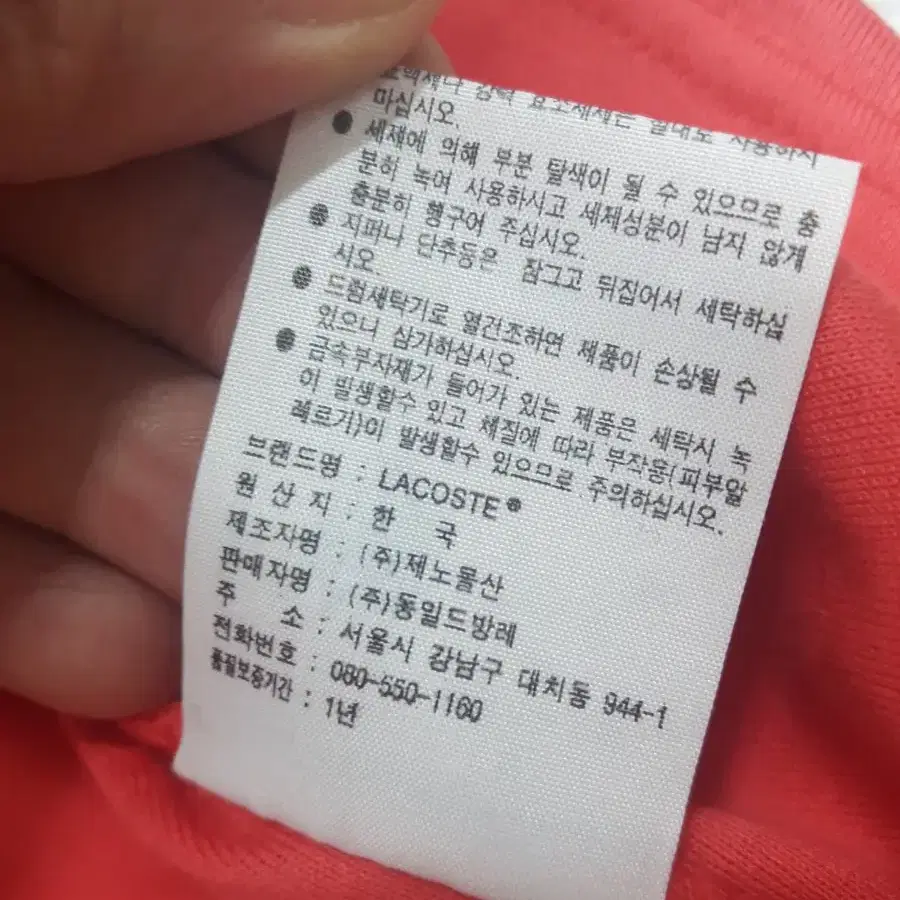 라코스테 정품 여자40사이즈 카라티