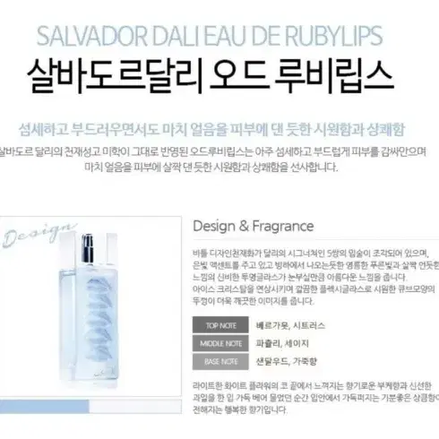 살바도르달리 오드 루비 립스 EDT 100ml