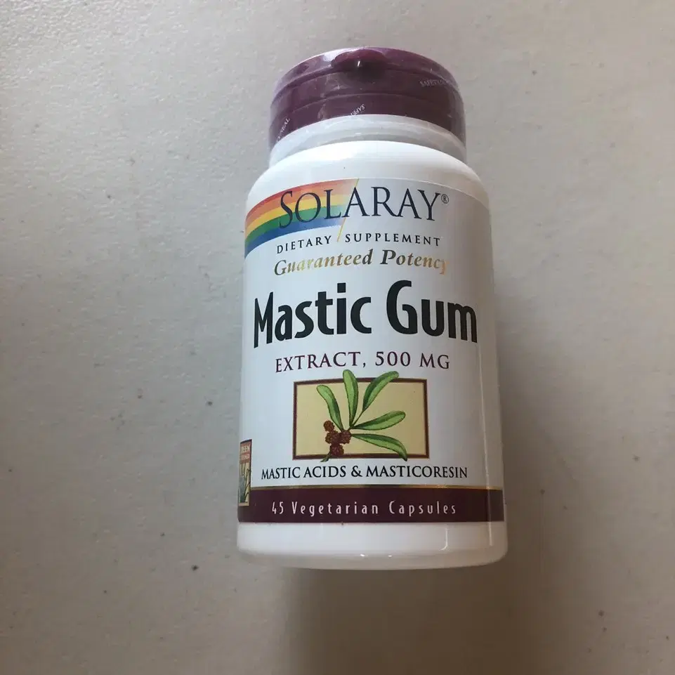 영양제 Mastic gum 팝니다