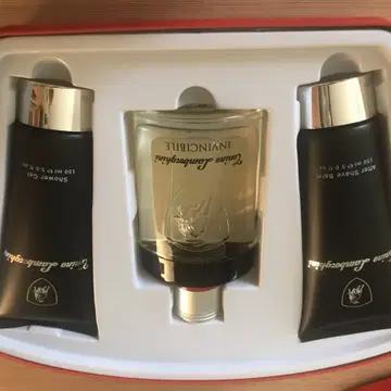 람보르기니 인빈서블 향수 125ml | 브랜드 중고거래 플랫폼, 번개장터 람보르기니 인빈서블 향수 125Ml | 브랜드 중고거래 플랫폼, 번개장터