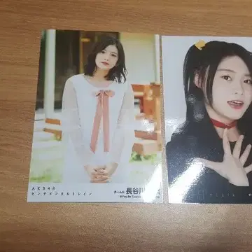 ngt48 하세가와레나 생사진