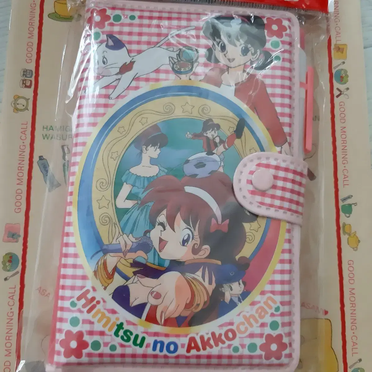 The Secret Akko-chan Notebook Diary