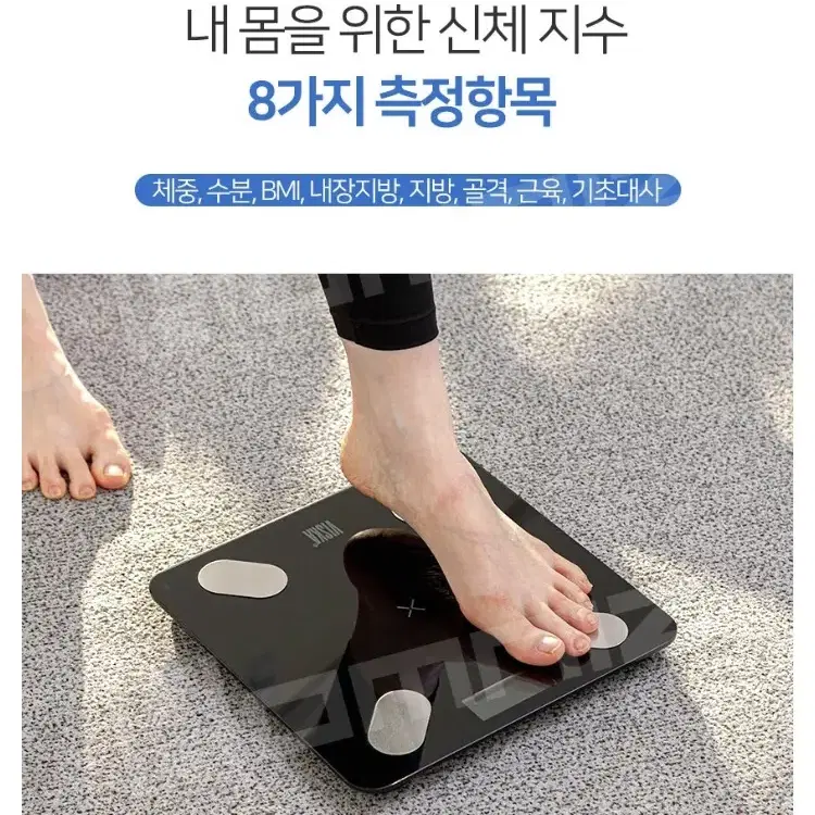 비스카 블루투스 스마트체중계