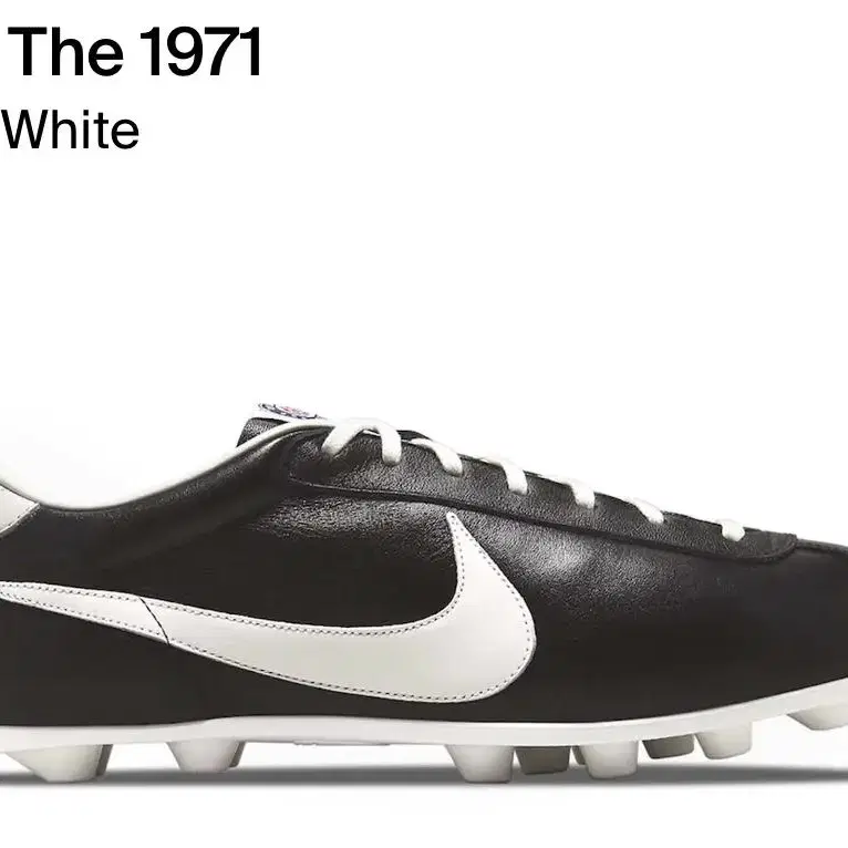 the nike 1971 더 나이키 1971