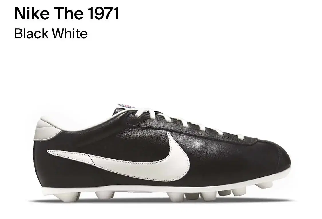 the nike 1971 더 나이키 1971