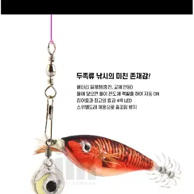 집어등 10개 스위벨LED 쭈꾸미 문어 갑오징어 두족류 낚시 새상품