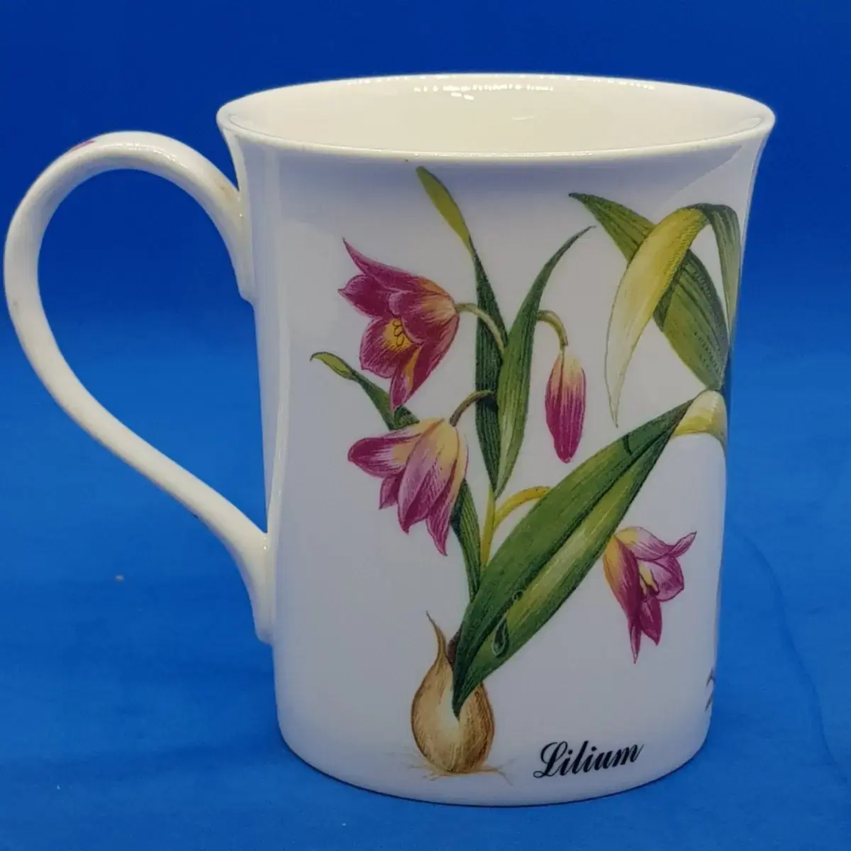 새상품 1990년대 영국 로얄켄달 수집용  머그 Fritillaria